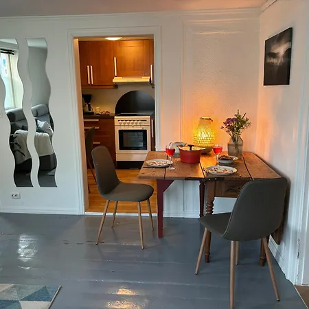 Apartment Romslig Og Velutstyrt Leilighet I Gamle *