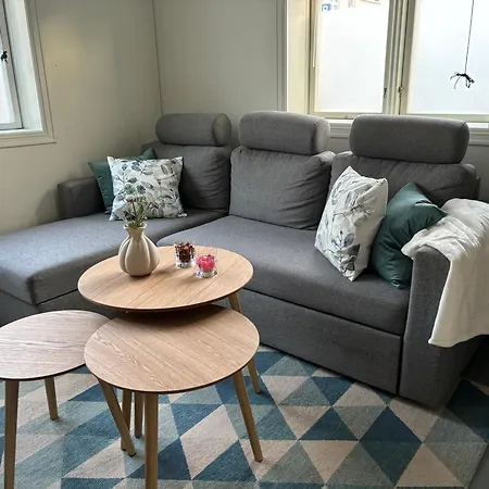 Romslig Og Velutstyrt Leilighet I Gamle Apartment