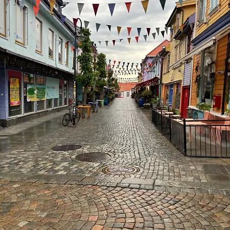 Romslig Og Velutstyrt Leilighet I Gamle *
