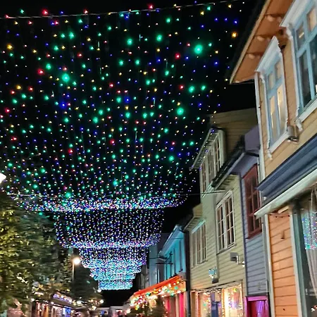 Romslig Og Velutstyrt Leilighet I Gamle *