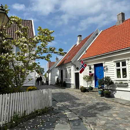 Romslig Og Velutstyrt Leilighet I Gamle Appartamento