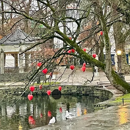 Romslig Og Velutstyrt Leilighet I Gamle Stavanger